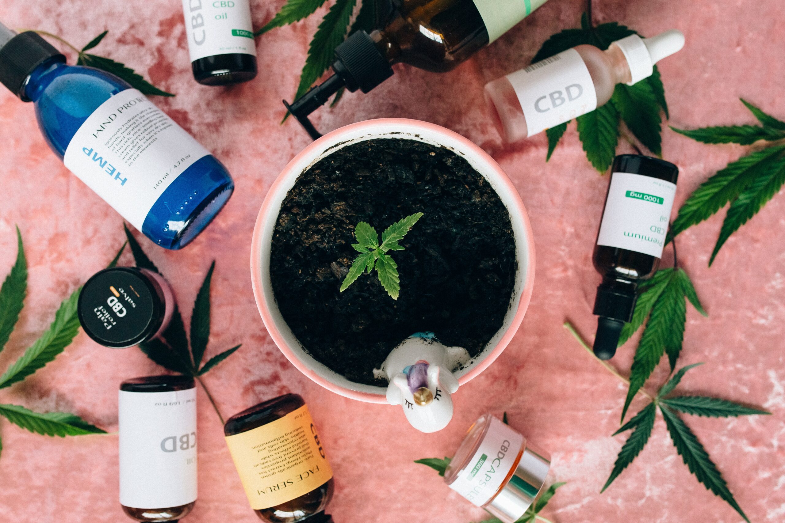 CBD Oil And Sleep What You Should Know